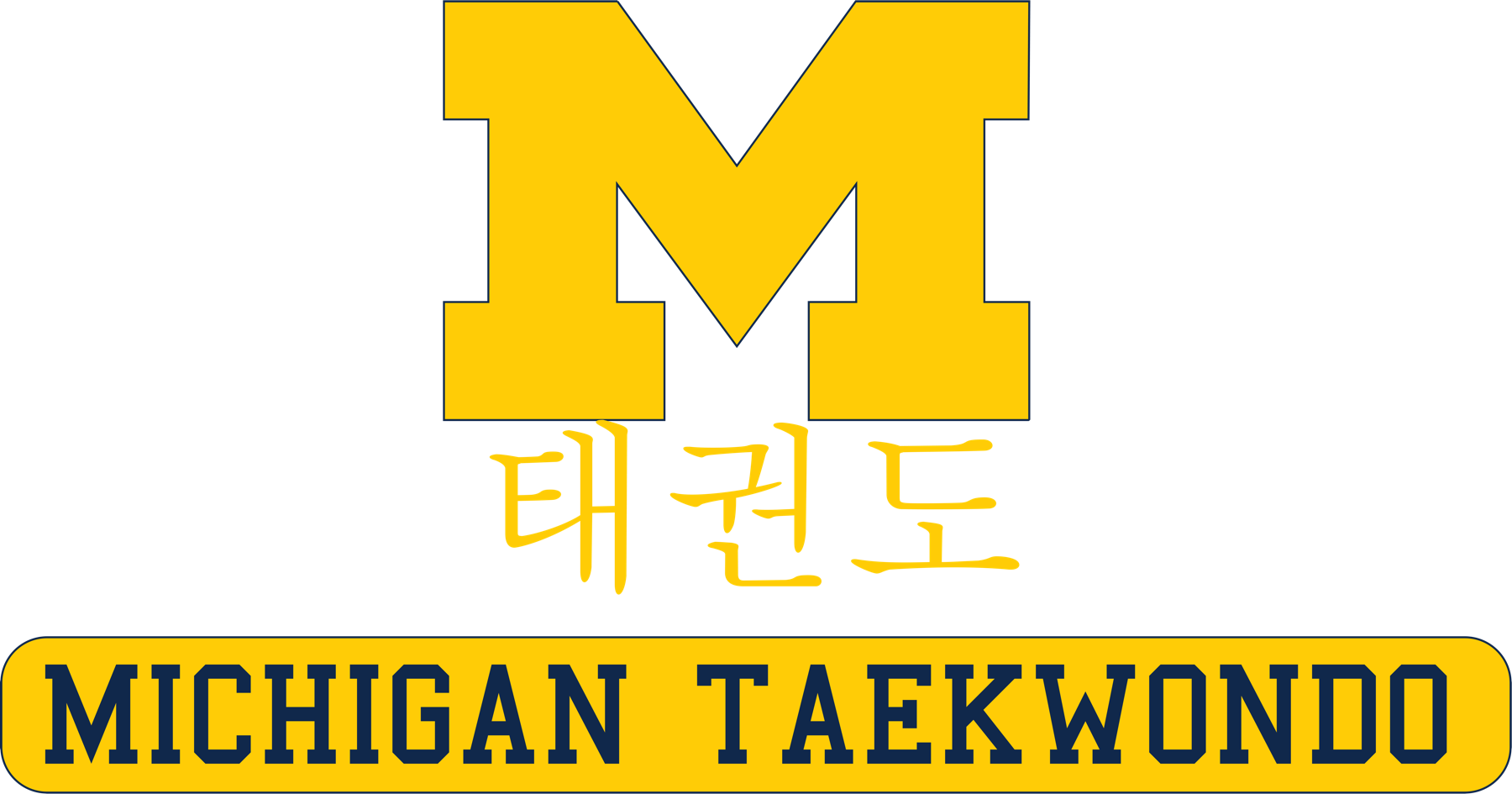 Michigan Taekwondo banner